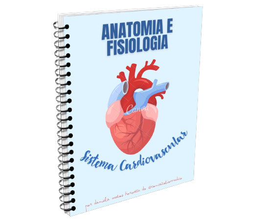 anat-fisio