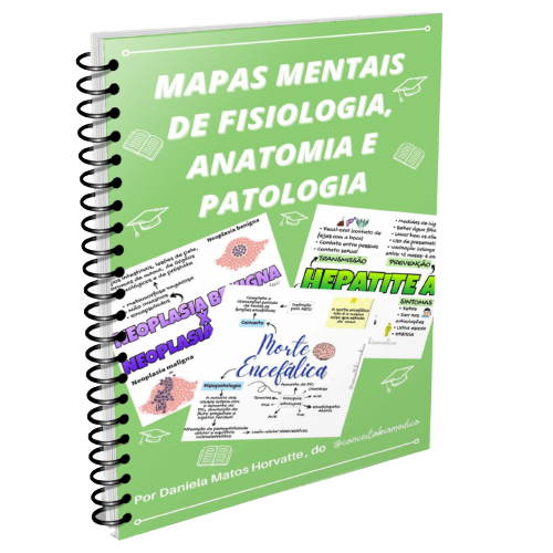 mapa mental